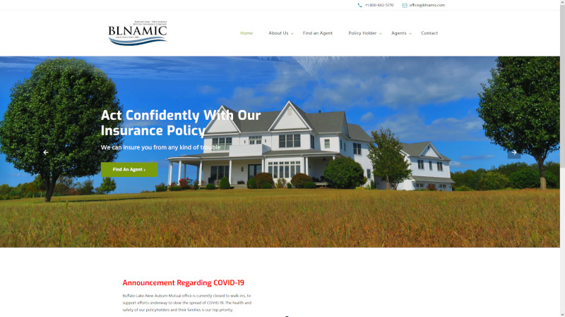 Buffalo Lake-New Auburn Mutual Insurance website screenshot